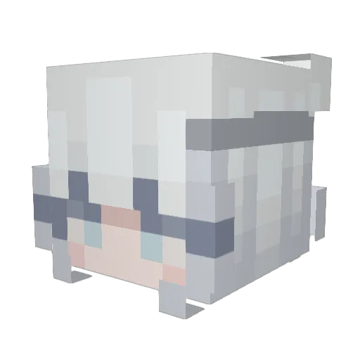 Ur_MasterXX Minecraft avatar head, 3D render
