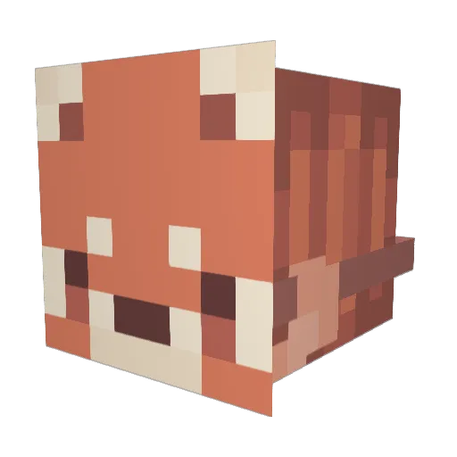 Ur_n0tFuNny Minecraft avatar head, 3D render