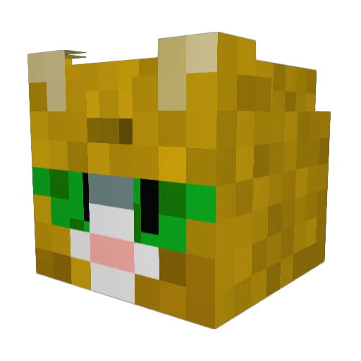 Uraguio Minecraft avatar head, 3D render