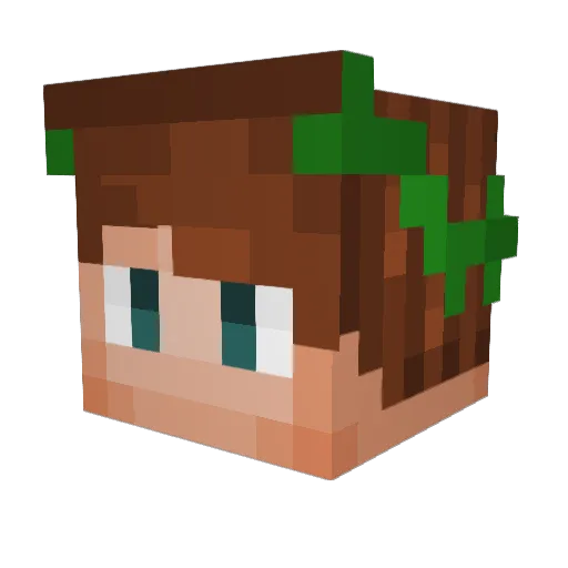 Uranos141 Minecraft avatar head, 3D render