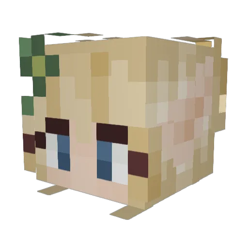 Urbanestcoin Minecraft avatar head, 3D render