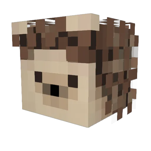 Urcheon Minecraft avatar head, 3D render