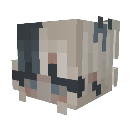 Urdeadbtw_ Minecraft avatar head, 3D render