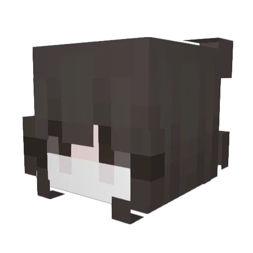 Ureihs Minecraft avatar head, 3D render