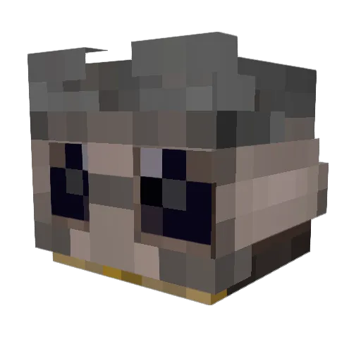 Urhu Minecraft avatar head, 3D render