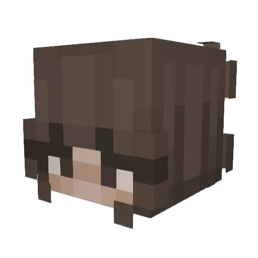 UrineDealer Minecraft avatar head, 3D render