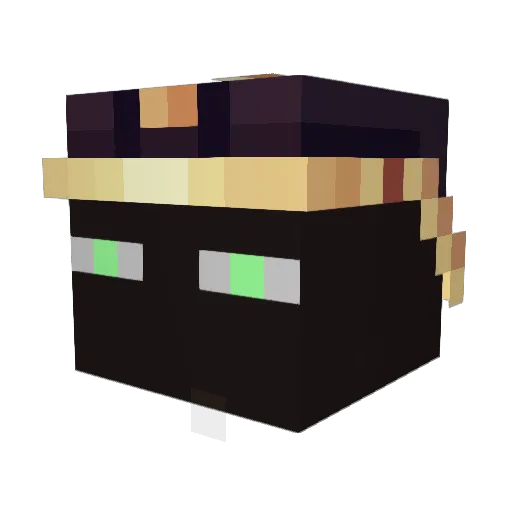 Ursakar Minecraft avatar head, 3D render