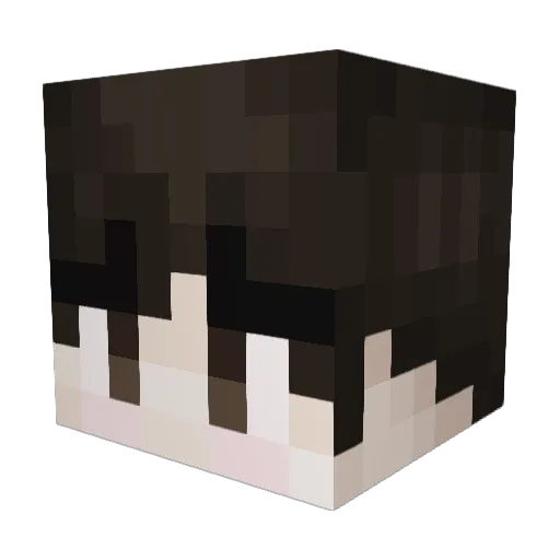 Urshaka Minecraft avatar head, 3D render