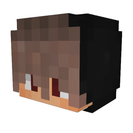 UrsinhoGOD Minecraft avatar head, 3D render