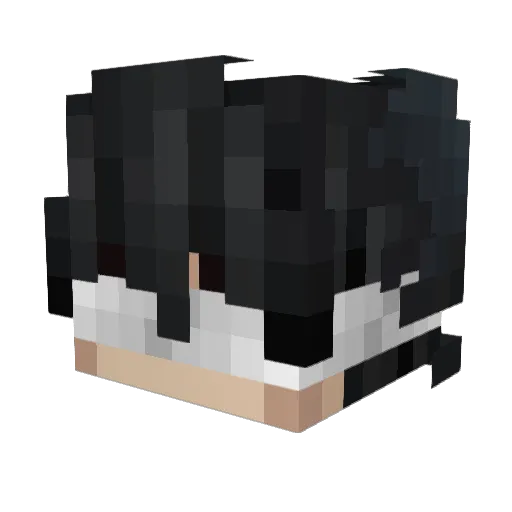 UsH27xZe Minecraft avatar head, 3D render