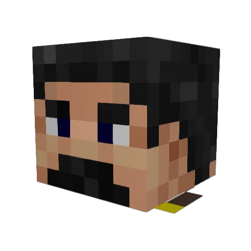 UsSomeOne Minecraft avatar head, 3D render