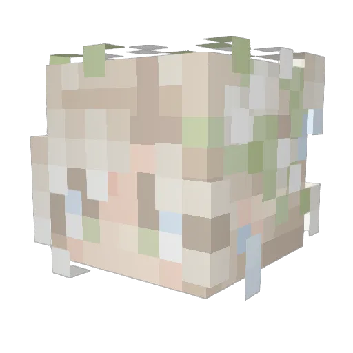 UsThePickles Minecraft avatar head, 3D render