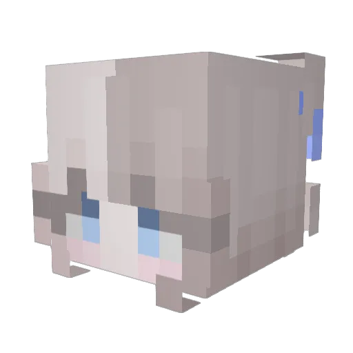 Us_2 Minecraft avatar head, 3D render