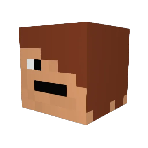 Usacisko Minecraft avatar head, 3D render