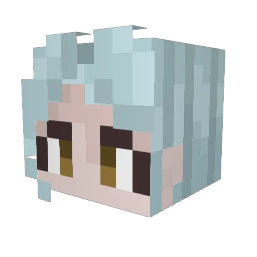 Usagi_Niku Minecraft avatar head, 3D render