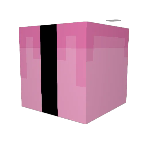 Usamelo2 Minecraft avatar head, 3D render