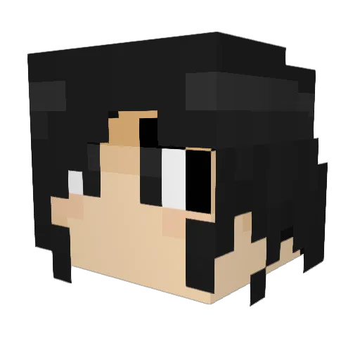 UsanShi Minecraft avatar head, 3D render