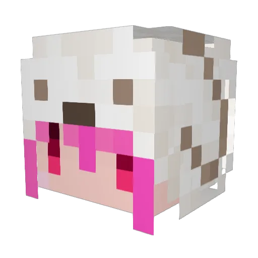 Usap0n Minecraft avatar head, 3D render
