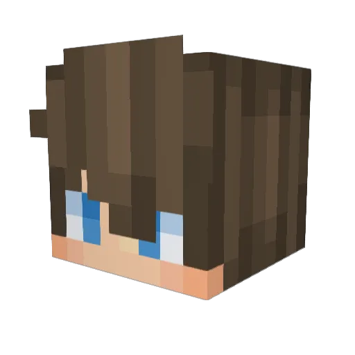 UseAdan Minecraft avatar head, 3D render