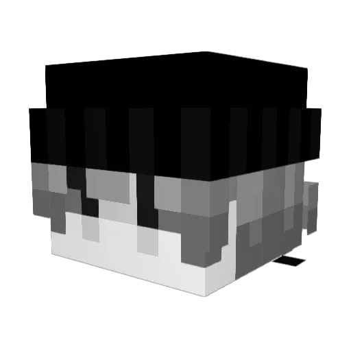 UseHackNoSkill Minecraft avatar head, 3D render