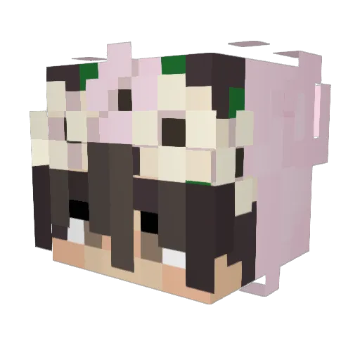 UselessBoy Minecraft avatar head, 3D render