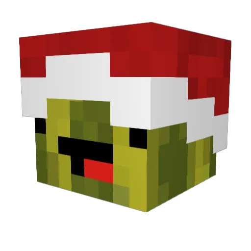 UselessFruit Minecraft avatar head, 3D render