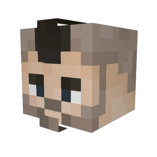 UselessNarrator Minecraft avatar head, 3D render