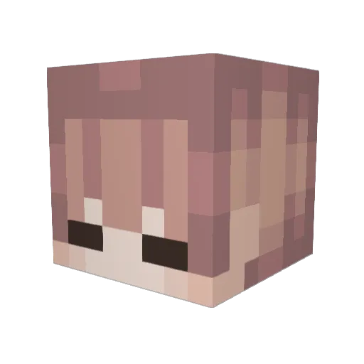 UselessSunbro Minecraft avatar head, 3D render