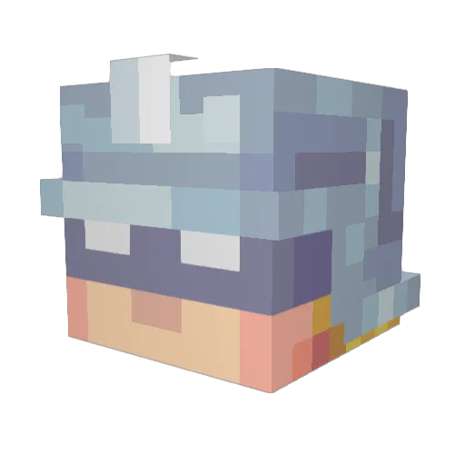 UselessWanD Minecraft avatar head, 3D render