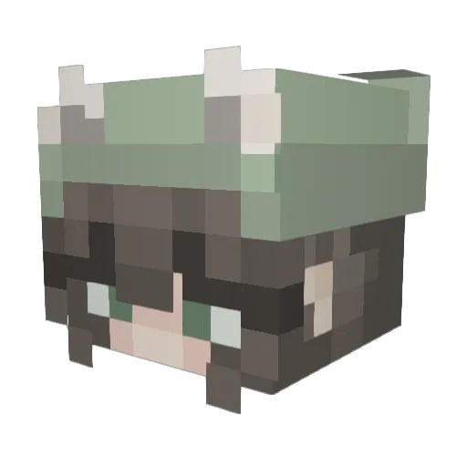 Useless_Frog Minecraft avatar head, 3D render