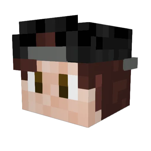 User0Not0Found Minecraft avatar head, 3D render