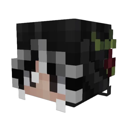 User1nvalid Minecraft avatar head, 3D render