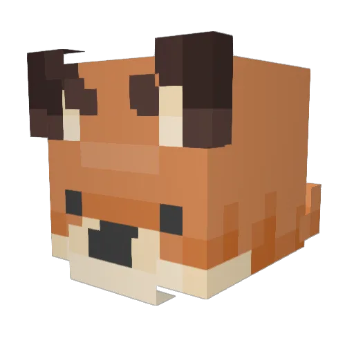 UserNOTName00 Minecraft avatar head, 3D render