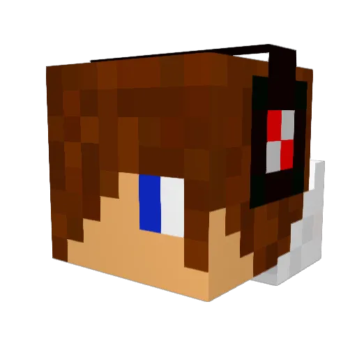 UserNameDutch Minecraft avatar head, 3D render