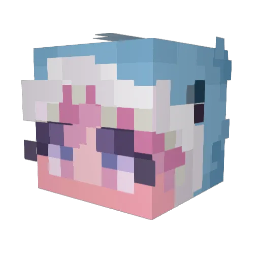 UserNamez1 Minecraft avatar head, 3D render