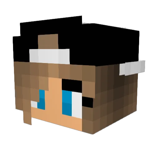 UserTag Minecraft avatar head, 3D render