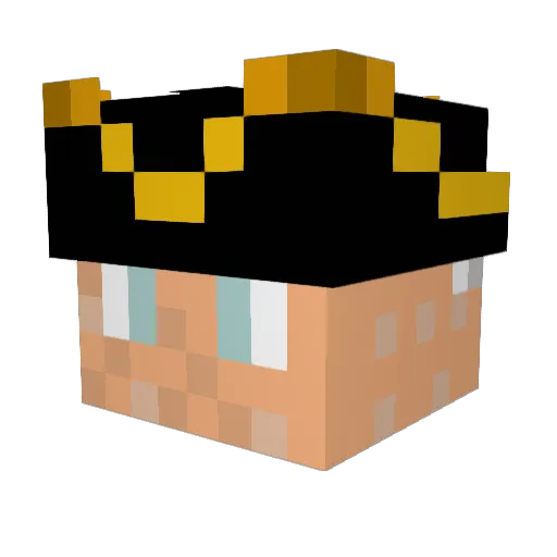 User_69 Minecraft avatar head, 3D render