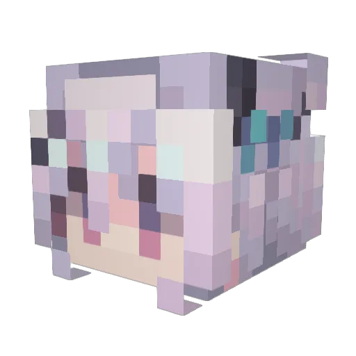 User_Time Minecraft avatar head, 3D render