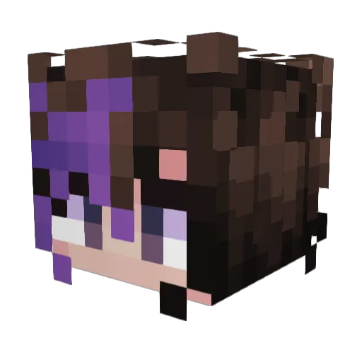 Userl3ss Minecraft avatar head, 3D render