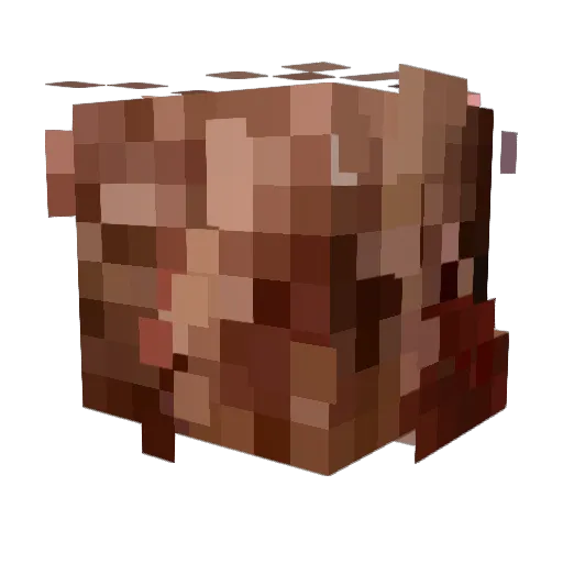 Usernam4 Minecraft avatar head, 3D render