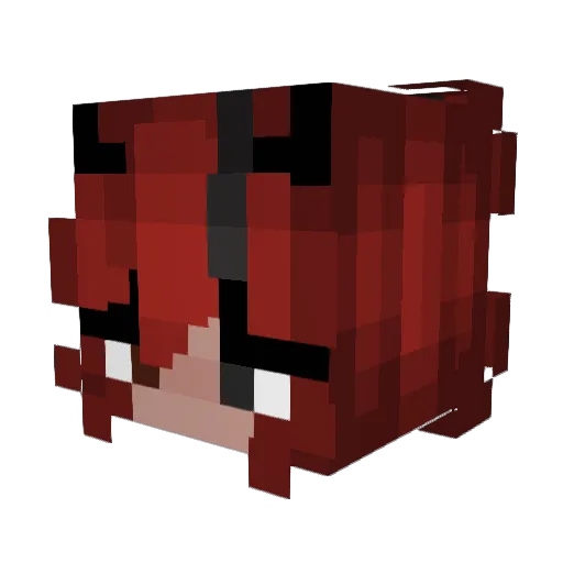 Username20 Minecraft avatar head, 3D render