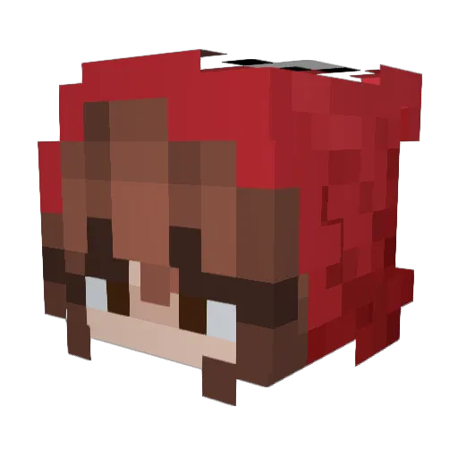 Username3482 Minecraft avatar head, 3D render