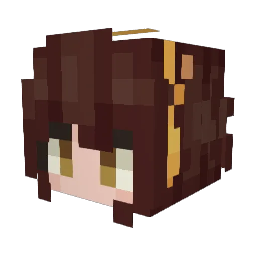 UsernameP Minecraft avatar head, 3D render