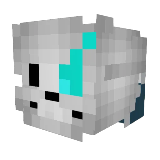 Username_9857 Minecraft avatar head, 3D render