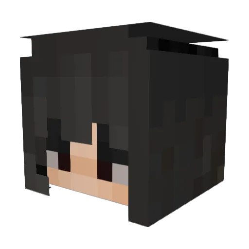 Username_Alec Minecraft avatar head, 3D render