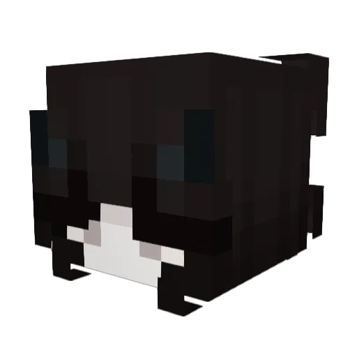 Username_IsLost Minecraft avatar head, 3D render