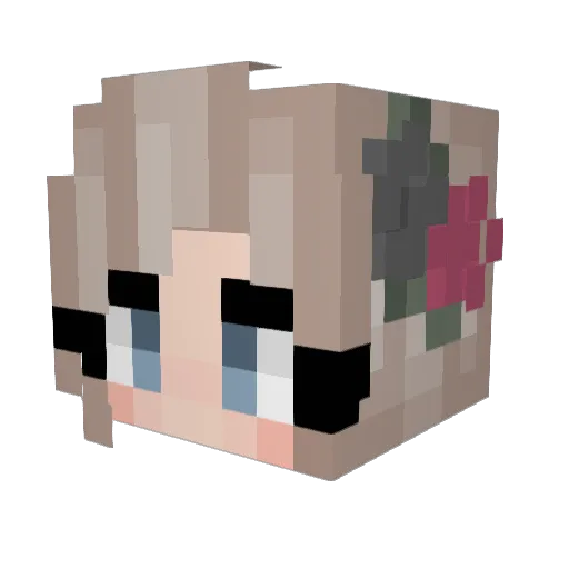 Username_wn Minecraft avatar head, 3D render