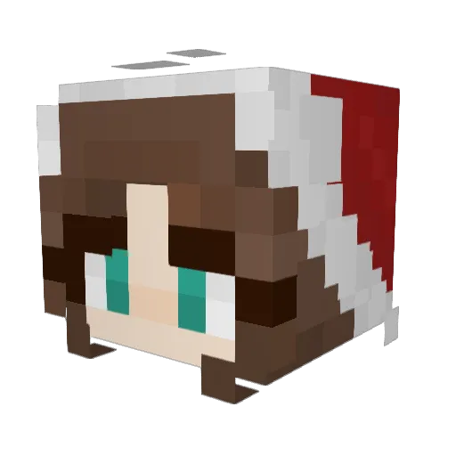 Usernine9 Minecraft avatar head, 3D render