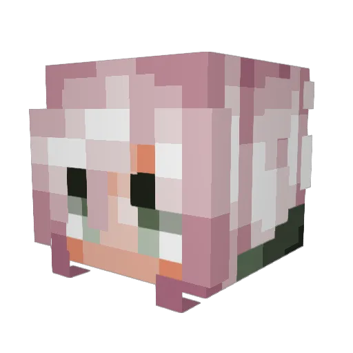 Usheeen Minecraft avatar head, 3D render