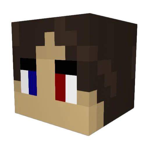 UsherDing Minecraft avatar head, 3D render